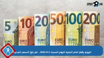 اليورو يقفز أمام الجنيه اليوم السبت 2-8-2025.. كم بلغ السعر الجديد؟